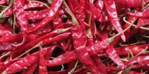 Dry Red Chili