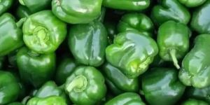 Fresh Green Capsicum