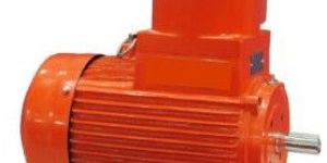 Flame Proof Motors