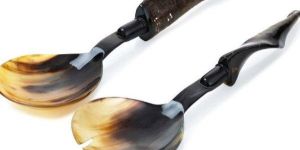 Horn Spoon Set