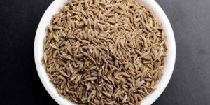 Cumin Seed