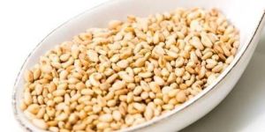 Sesame Seeds