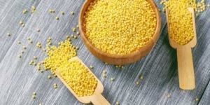 Yellow Millet