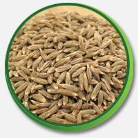 Cumin Seeds