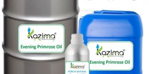 Evening Primrose Oil