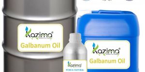 Galbanum Oil