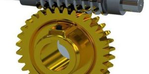 Worm Gears