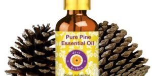 Pure Pine Essential Oil