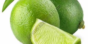 A Grade Fresh Green Lemon