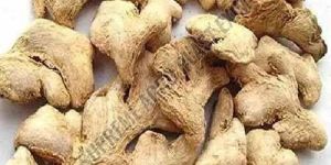 Dry Ginger