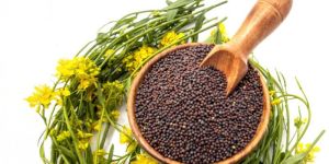 Black Mustard Seed