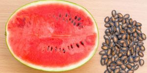 Watermelon Seed