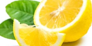 Fresh Lemon