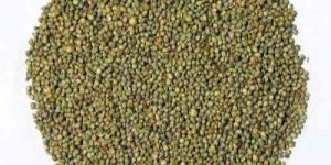 Green Millets