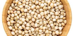 Jowar