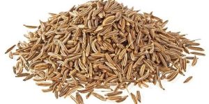 Cumin Seeds