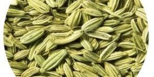 Fennel Seed
