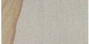 Desert Camel Sandstone