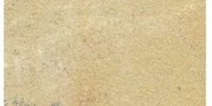 Mint Fossil Sandstone