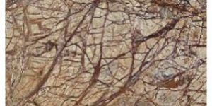 Rain Forest Brown Marble