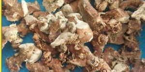 Galangal Roots