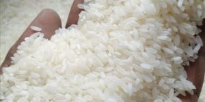 MR. India Swarna Raw Rice