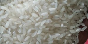 MR. India Swarna White Rice