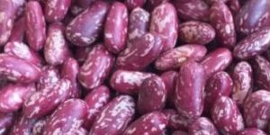 Red Speckled Kidney Beans