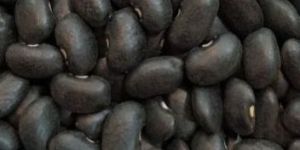 Samad Black Turtle Beans