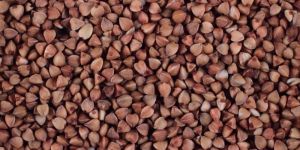 Buckwheat