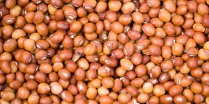 Red Pigeon Peas