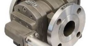 Rotary Gear Pumps