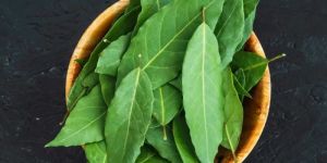 Curry Leaves