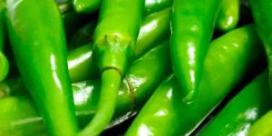 Green Chilli