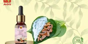 Betel Leaf Oil