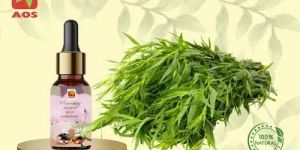 Tarragon Oil