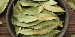 Bay Leaves