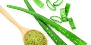 Organic Aloe Vera Powder