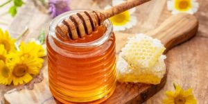 Organic Honey