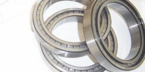 Single Row Full Complement Cylindrical Roller Bearings