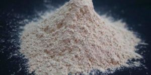 Dehydrated Garlic Powder