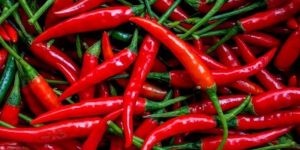 Red Chili