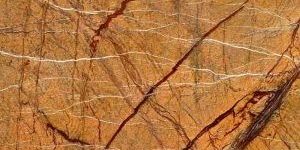 Rainforest Gold Marble