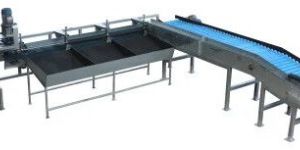 fruit vegetable sorting grading line