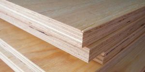 Cwr MR Plywood