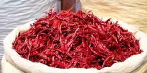 dried red chili whole