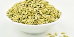 Fennel Seeds & Powder
