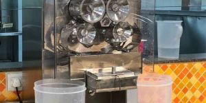 Lemon Juicer: Fusion