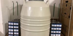 Liquid Nitrogen Container