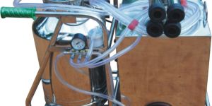 Single Bucket Milking Machine